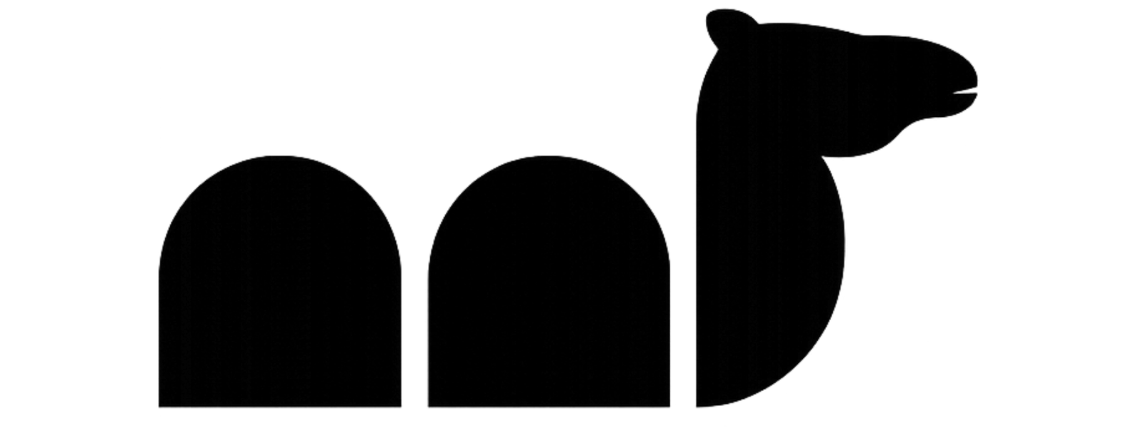Camelsoft logo